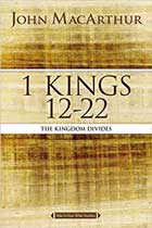 1 Kings 12-22: The Kingdom Divided, book cover
